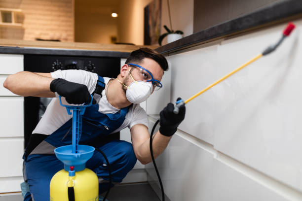Best Pest Inspection Near Me  in Crestline, CA