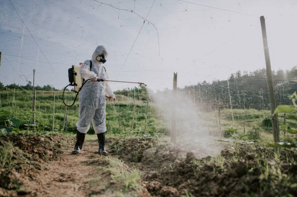 Best Pest Prevention Services  in Crestline, CA