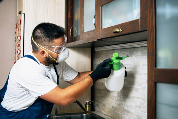 Best Ant Control Services  in Crestline, CA