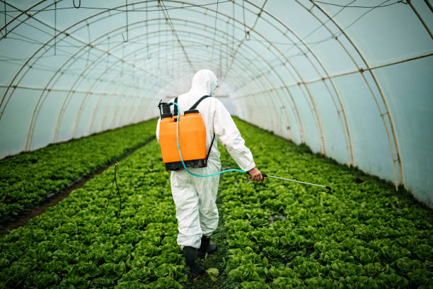 Best Commercial Pest Control Services  in Crestline, CA