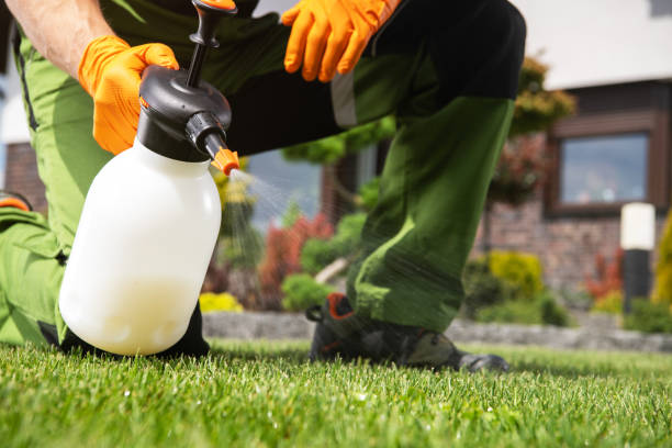 Best Rat Extermination Near Me  in Crestline, CA
