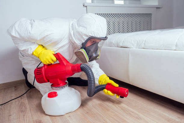 Best Emergency Pest Control  in Crestline, CA