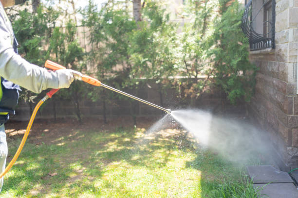 Best Termite Control Services  in Crestline, CA