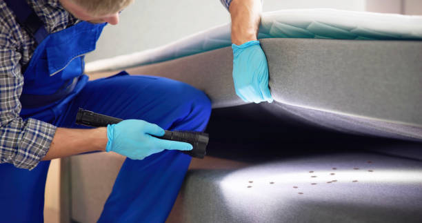  Crestline, CA Pest Control Pros