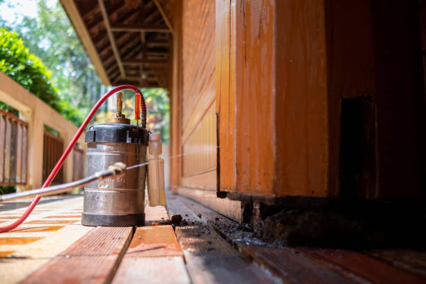 Trusted Crestline, CA Pest Control Experts